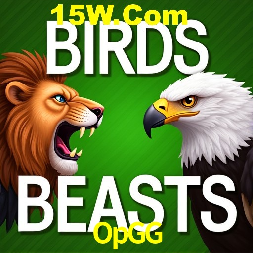 OpGG Rio de Janeiro - Bonus Terms
